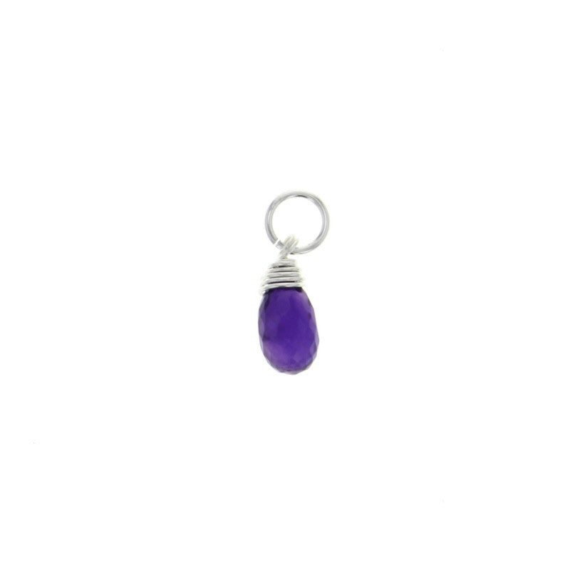 C051001-FEB - Sterling Silver and Faceted Amethyst Charm